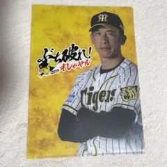 阪神タイガース2019 クリアファイル3枚セット