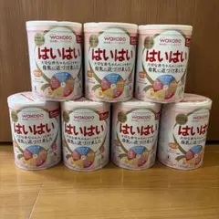 エコメルカリ便限定 新品未開封 810g はいはい 粉ミルク 6缶セット
