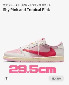 Nike Air Jordan 1 Low Travis Scott 29.5のサムネイル