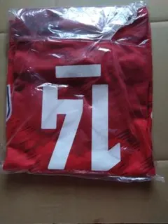2025年 バレーボール男子日本代表 応援Tシャツ ユニフォーム 石川祐希