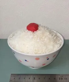ご飯♥フェイクフード