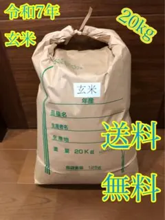 令和7年度産 玄米ヒノヒカリ20kgのサムネイル