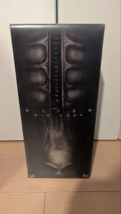 アンドゥムルメステール 直筆サイン入り 作品集 - メルカリ