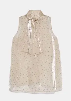 ZARAwoman シースルー　ドット　トップス