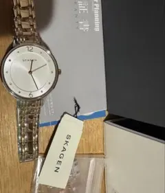 新品　スカーゲン　SKAGEN 腕時計