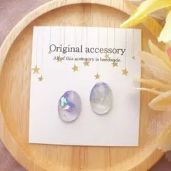 878. artic楕円꙳✧˖⌖レジンピアス