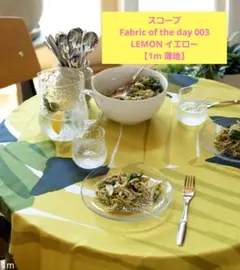 ◾used品◾Fabric of the day 003 【LEMON】1m