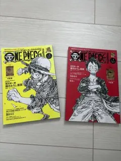 ワンピース書籍　2冊セット