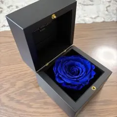 Ado 心臓 入場者特典 VIP席 ブローチ 薔薇 - メルカリ