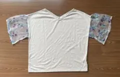 Item thumbnail for item 772839f8-5228-4f0e-9515-c23b1732cc93