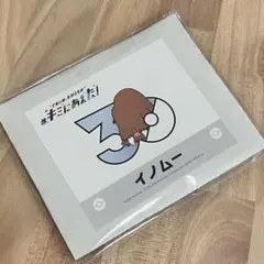 ポケモンセンター　30周年　ステッカー　イノムーのサムネイル