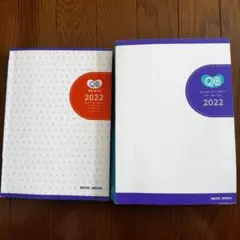 QB 2022 看護師国家試験問題集 2点セット
