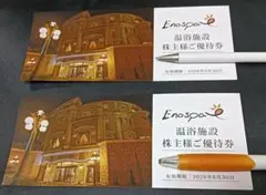 ★様専用　江の島アイランドスパ　優待券２枚　飯田グループホールディングス