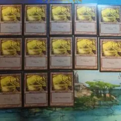 MTG　ミラージュ 沼 C絵柄 人気絵柄　基本地形　計13枚まとめ売り