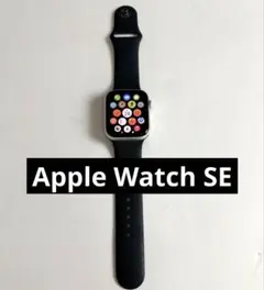 Apple Watch SE 44mmシルバー本体