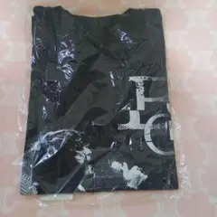 BOOM BOOM SATELLITES 川島道行Tシャツ (S)