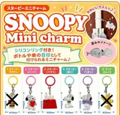 【匿名配送·新品タグ付き】スヌーピミニチャーム4種類（スヌーピだけ）セット