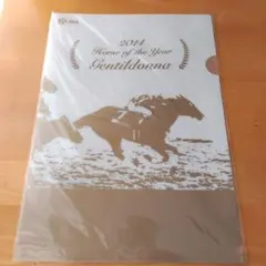 fj様 リクエスト 2点 まとめ商品