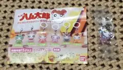 リボンちゃん とっとこハム太郎 めじるしアクセサリー ちゅりー！