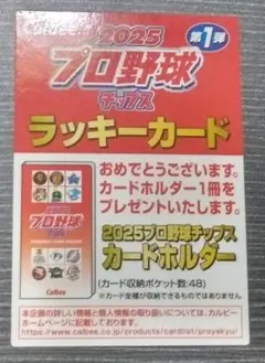 カルビー2025プロ野球チップス ラッキーカード