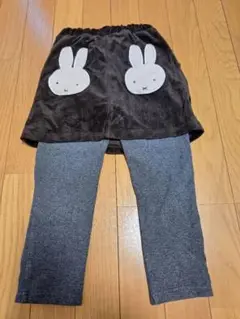 プティマイン　スカッツ　110～120