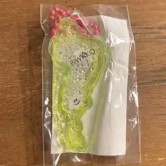 琵琶湖キーホルダー 琵琶湖バレイ