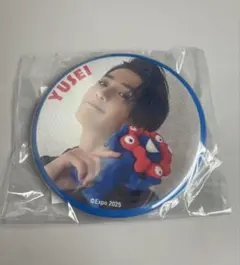 八木勇征 FANTASTICS 大阪万博 みゃくみゃく 缶バッジ expoのサムネイル