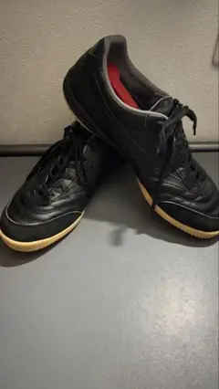 モレリアフットサルシューズ