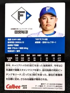 日本ハム 非売品 推しペアクッション 田宮×田中 未開封品① ジャスゆあ 日本ハム 非売品 推しペアクッション 田宮×田中 未開封品①