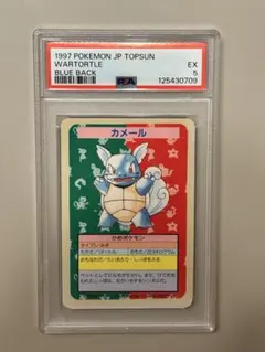 PSA8】 ポケットモンスター トップサン PSA鑑定 8 ニドクイン 裏青