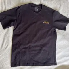 THE NORTH FACE 黒 ブラック Tシャツ Lサイズ