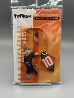 ハイキュー!! ワイヤープレートキーホルダー　日向翔陽