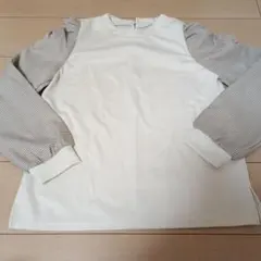 Item thumbnail for item 615b4087-7247-4fdc-a021-ee4c39fe494d