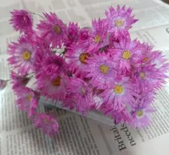 紗織☆フォロー割、リピート割あります様 リクエスト 2点 まとめ商品