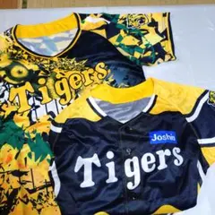 Item thumbnail for item 559d1046-2ef0-4c94-8cf5-46510ffd6bca