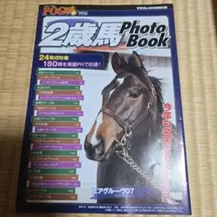 Item thumbnail for item a53df370-3e89-4f78-bd21-52d7d33b6d03