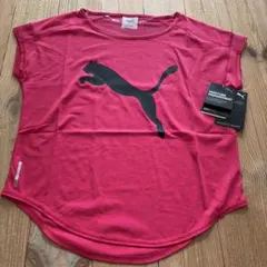 新品PUMA DRYCELLレディース ランニング トレーニングウェア ピンクのサムネイル
