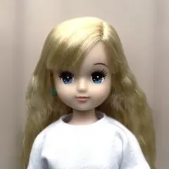 2026年最新】リカちゃん あきちゃんの人気アイテム - メルカリ