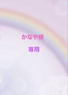 かなや様専用　トリュフチョコキャラメル　120g×4袋　生チョコ