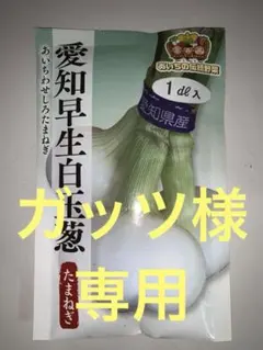 玉ねぎ苗 極早生 愛知白 20本 苗 - メルカリ 【早生】白玉ねぎ苗▽ホワイト
