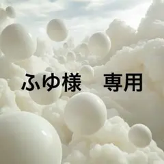 ふゆ様　専用　No.200 24hお急ぎ