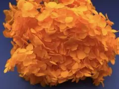 marron66様 リクエスト 2点 まとめ商品