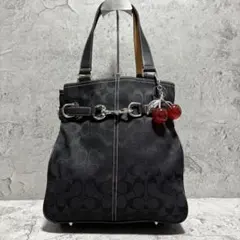 Coach Horse and Carriage Signature Bag