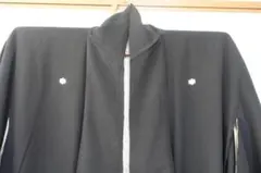 Item thumbnail for item 4ccdc00a-7446-4d25-85dc-255e26a6e8ff