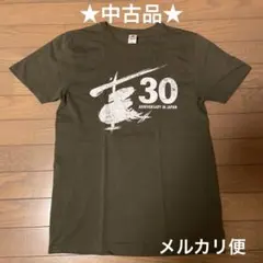 Item thumbnail for item 5e6f63d0-e143-42c0-aaee-938074bf0ff6