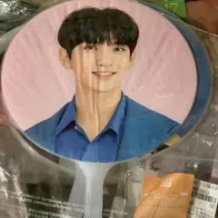 Item thumbnail for item e87cded1-e5e4-48f7-adba-2e13f13786b9