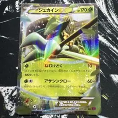 ジュカインEX RR XY7 バンデットリング 007/081のサムネイル