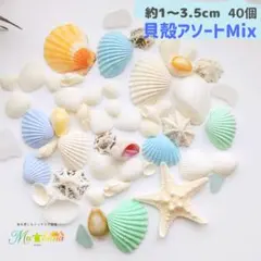 조개 세트, 조개 모듬, 40개, 공예, 수제 조개 부품 소재