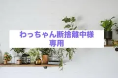 Ray-Ban RB4187F CHRIS サングラス ケース付き