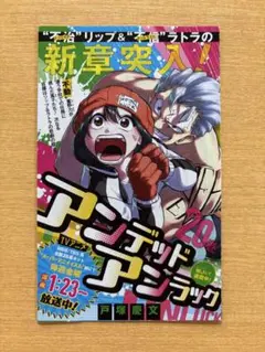 カグラバチ1巻 封入ジャンパラ - メルカリ